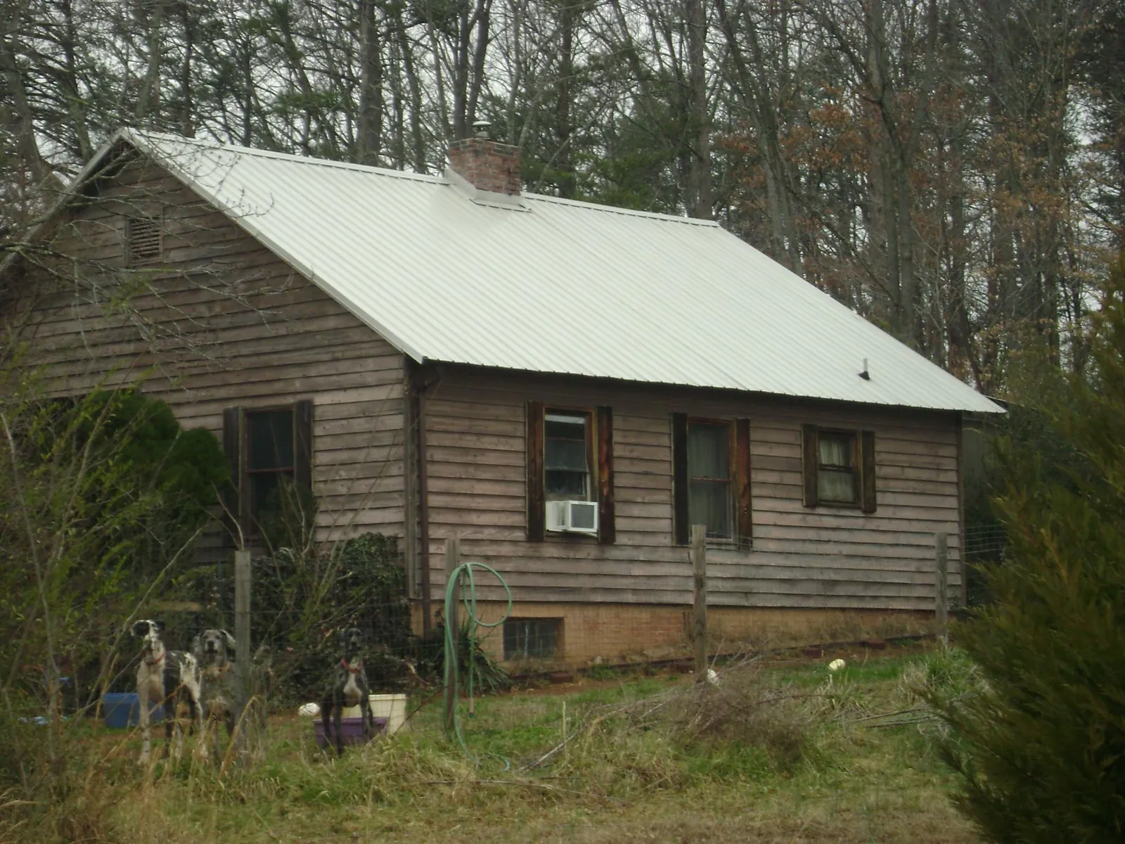 White metal roof on an old wood sided farmhouse, from a Asphalt Shingle Roof Repair job in Garfield